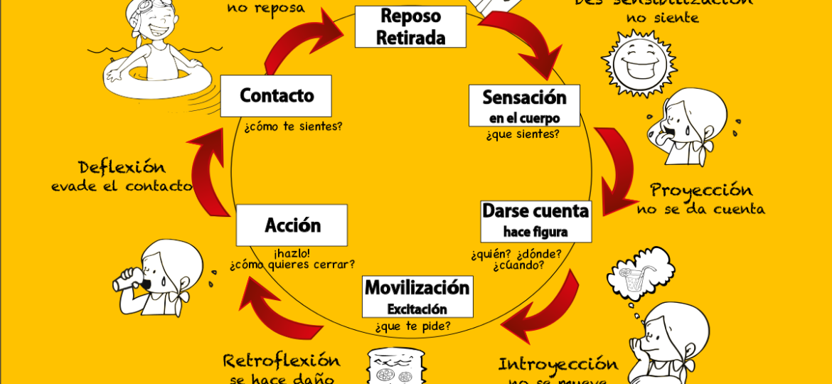 ciclo necesidades