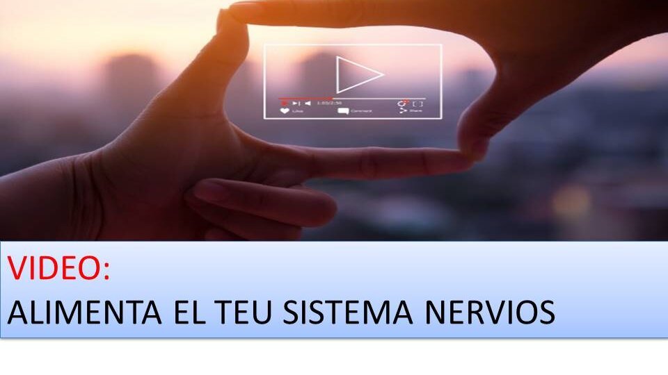 Alimenta el teu sistemanervios