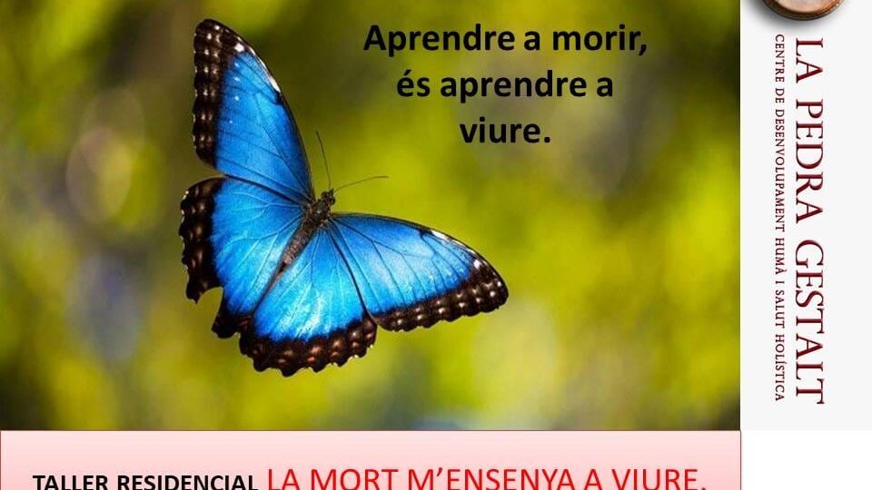 la mort final